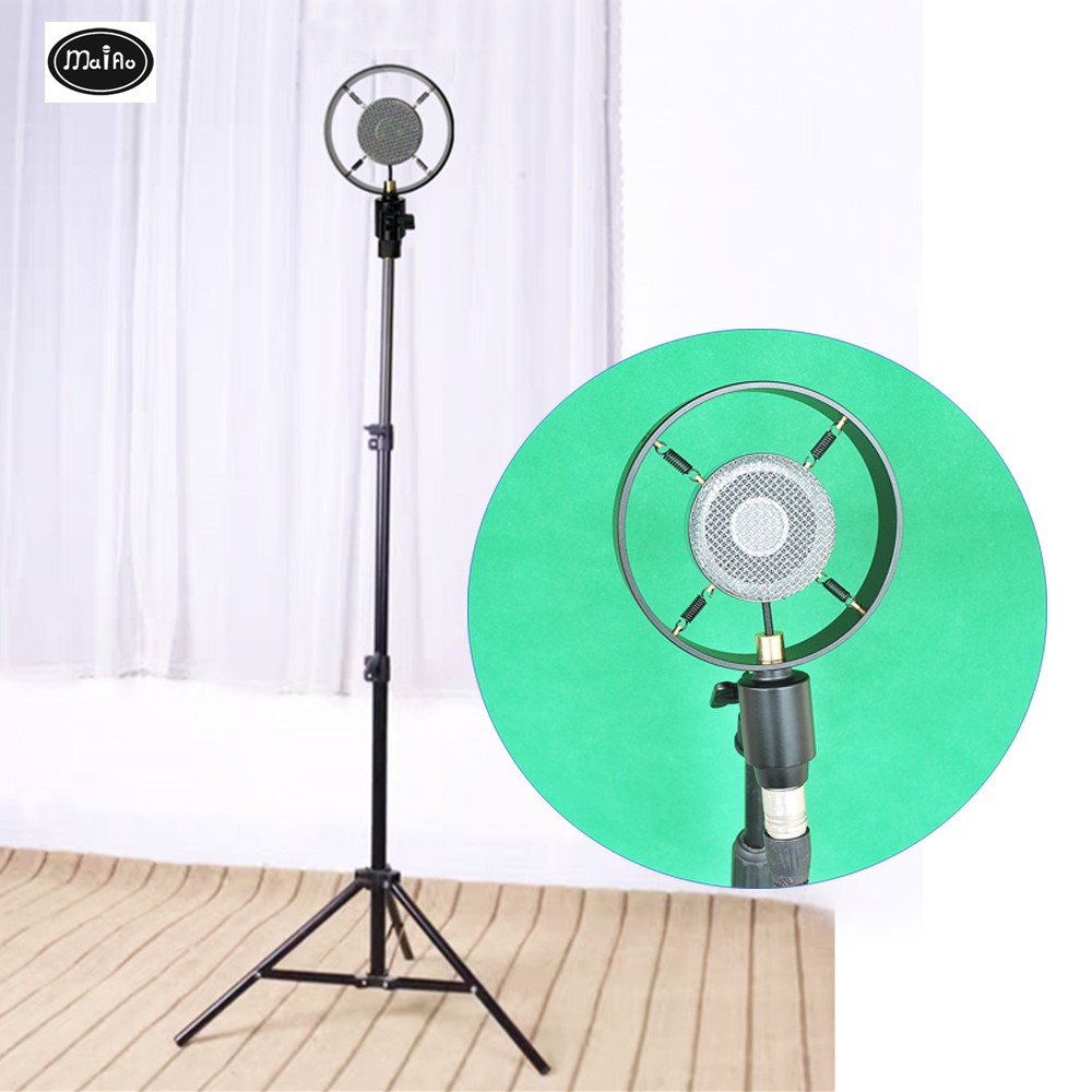 HT-111 Large Diaphragm Retro Condenser Microphone