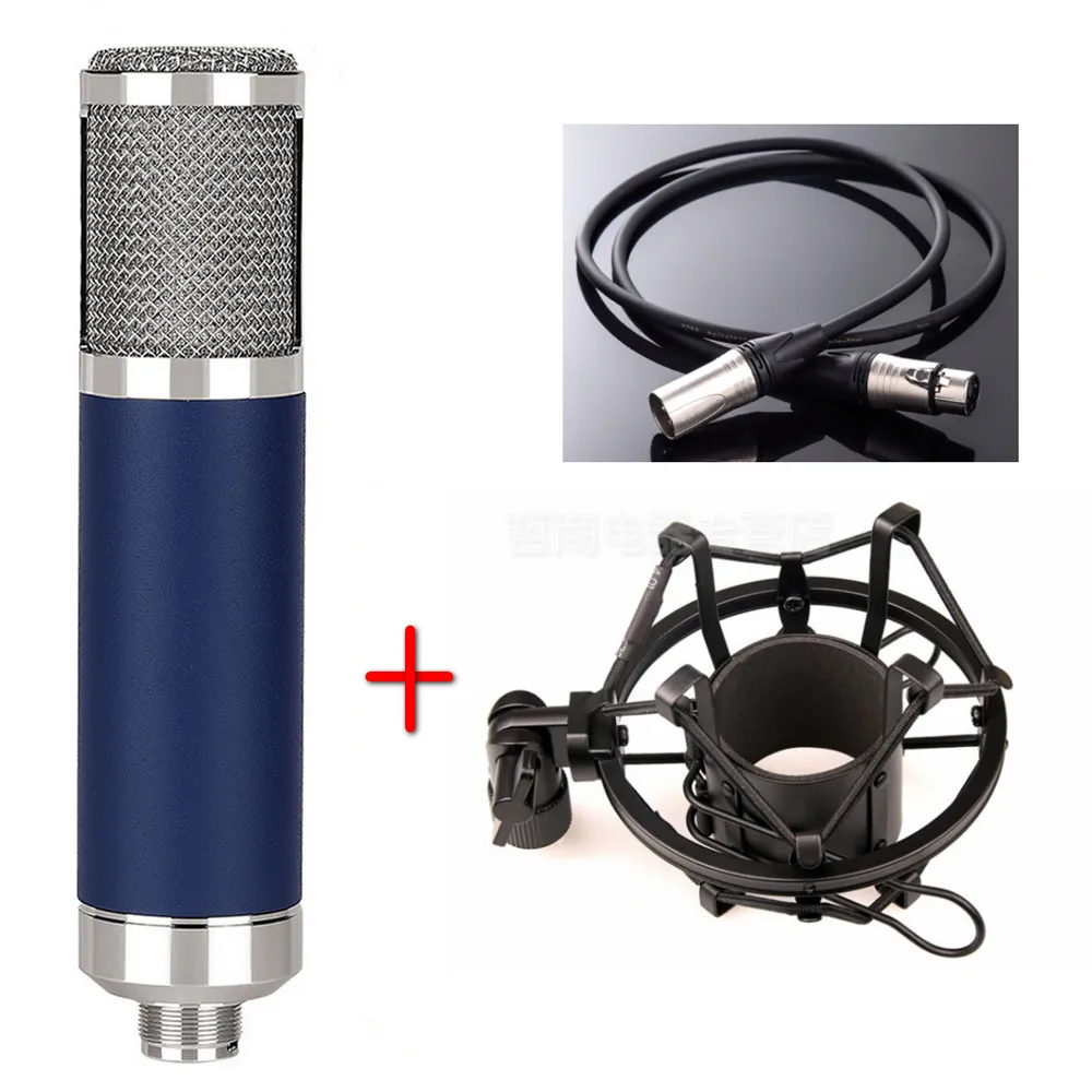 Home Studio microphone Amplifier