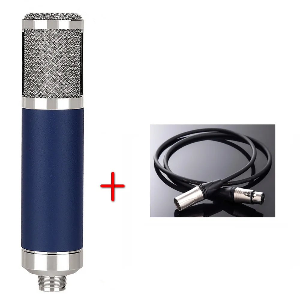 Home Studio microphone Amplifier