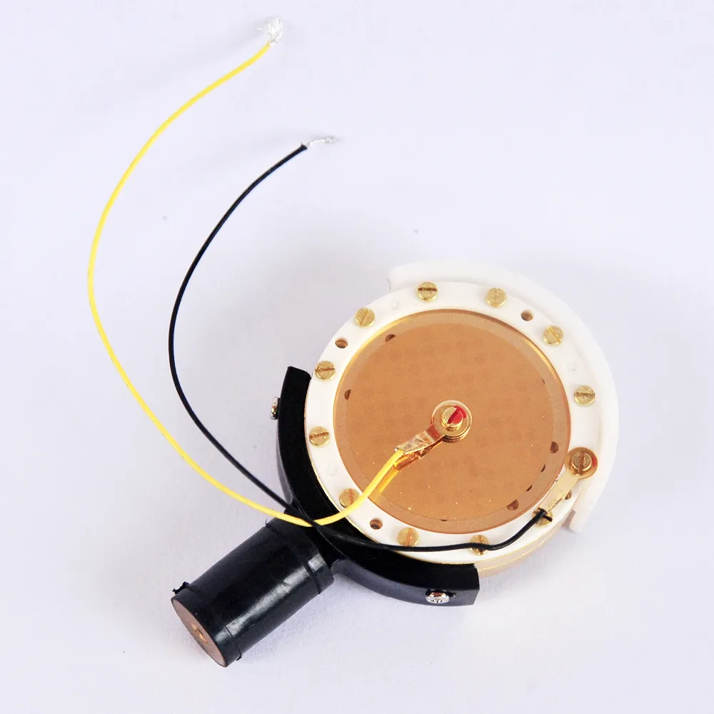 Large Diaphragm Condenser Microphone