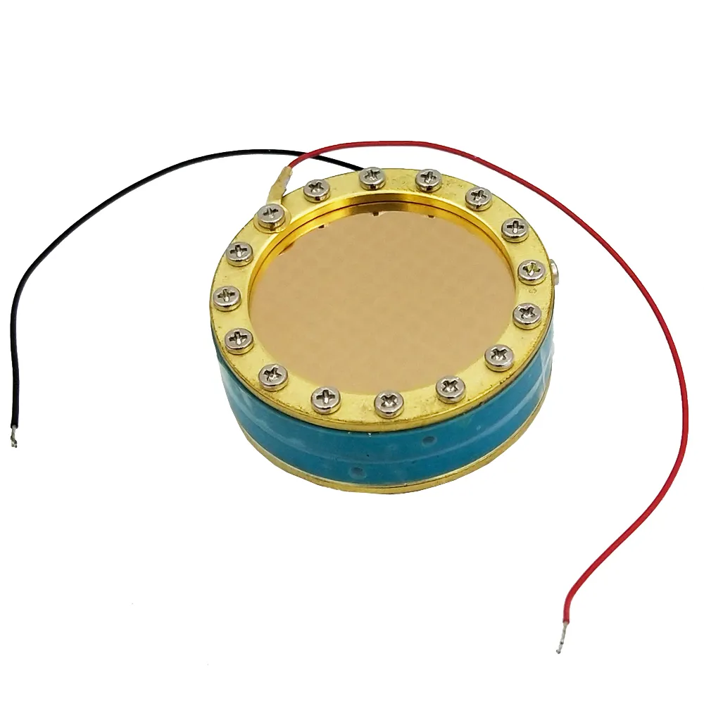 Microphone Core Capsule