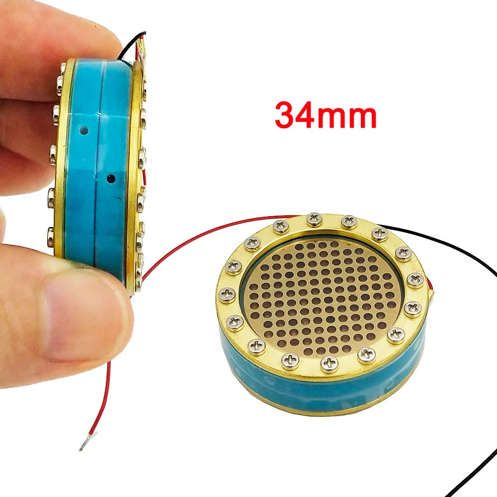 Microphone Core Capsule