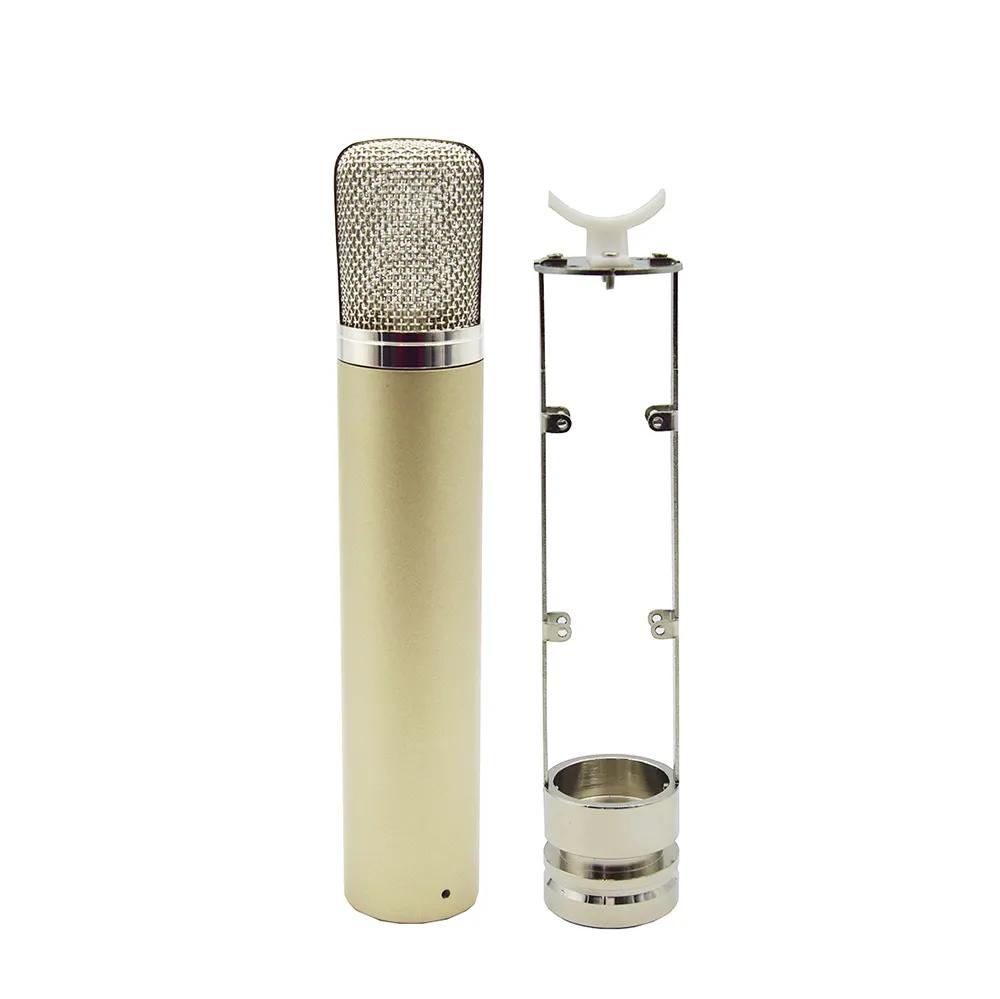 Stainless Steel Microphone Casing