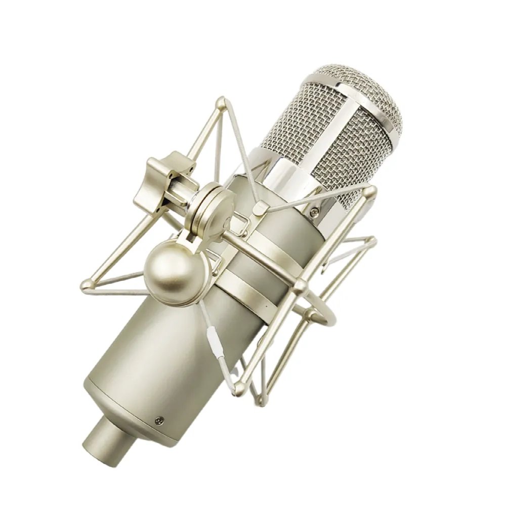Microphone Body with Shock Mount