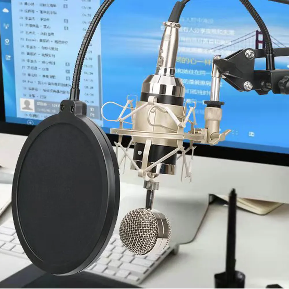 Metal Filter Universal Microphone Windshield for Studio Microphone Windshield