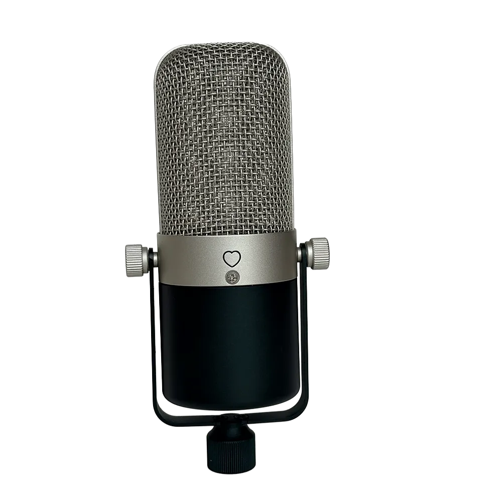 black microphone with stand4