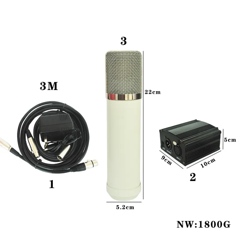 251 Studio Tube Microphone