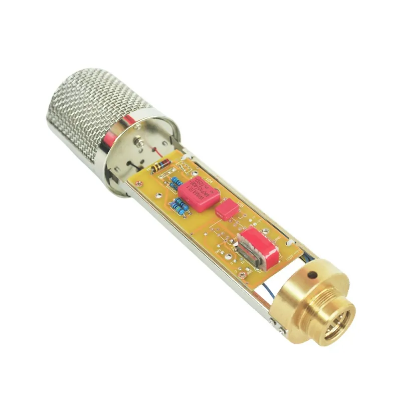 Handmade Tube Mic